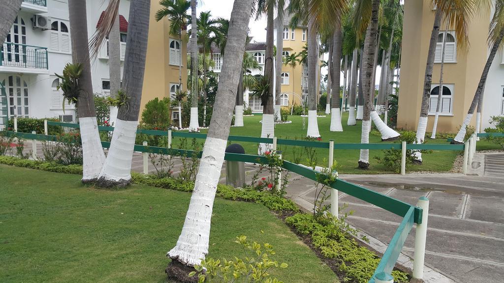 Studio 27 Ocho Rios Exterior photo
